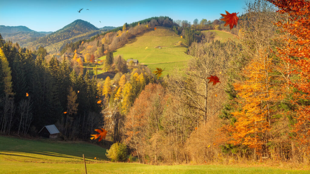 Ein magischer Herbsttag im Mariazeller Land