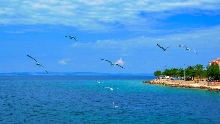 Bei einem Ausflug mit einem Taxiboot wurden wir bei der Haufenausfahrt von einem Schwarm Möwen begleitet. Das türkisgrün bis tiefblau schimmernde Wasser, das seidige Blau des Himmels, die schnatternden Möwen und der endlose Horizont vermitteln ein Gefühl von völliger Freiheit.